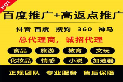 行业领先！专业SEM托管的成功实践案例